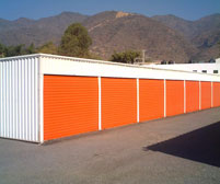 bodega